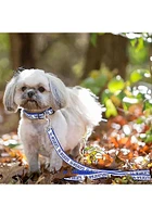 Kentucky Wildcats Team Logo Pet Leash