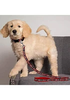 Detroit Tigers Team Logo Pet Leash
