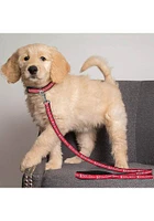 St Louis Cardinals Team Logo Pet Leash