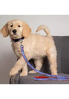 Texas Rangers Team Logo Pet Leash