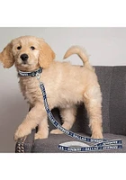 Dallas Cowboys Team Logo Pet Leash