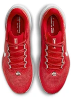 Ohio State Buckeyes Red Nike Zoom Pegasus 41 Mens Shoes