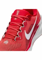 Ohio State Buckeyes Red Nike Zoom Pegasus 41 Mens Shoes