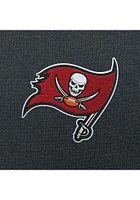 Antigua Tampa Bay Buccaneers Mens Charcoal Chenille Logo Victory Long Sleeve Hoodie