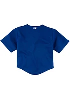 Nike Chicago Cubs Baby Blue Alt Replica Jersey Baseball