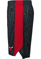 Chicago Bulls Youth Black Scribble Dribble Shorts