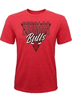 Chicago Bulls Youth Red Victory Short Sleeve Fashion T-Shirt