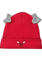 Chicago Bulls Infant Red Dream Team Set Top and Bottom
