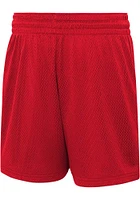 Nike Chicago Bulls Youth Red Dri-Fit Player Shorts