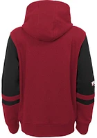 Arkansas Razorbacks Youth Cardinal Stadium Long Sleeve Full Zip Jacket