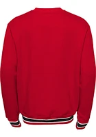 Detroit Red Wings Youth Classic Blueliner Long Sleeve Crew Sweatshirt