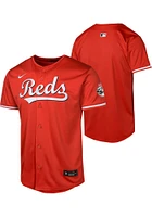 Nike Cincinnati Reds Youth Red Alt Limited Blank Jersey