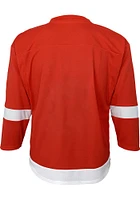 Detroit Red Wings Youth Replica Hockey Jersey