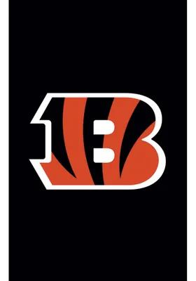 Cincinnati Bengals Applique Banner