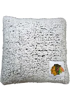 Chicago Blackhawks 16x16 Frosty Throw Pillow - Red
