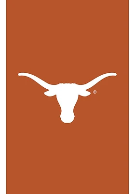 Texas Longhorns Applique Garden Flag - Burnt Orange