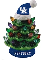 Kentucky Wildcats Light Up Tree Ornament Ornament