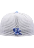 Top of the World Kentucky Wildcats Mens Grey Stamp Flex Hat