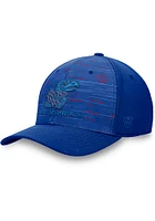 Top of the World Kansas Jayhawks Mens Blue Verdure Design Flex Hat