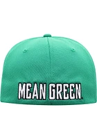 Top of the World North Texas Mean Green Mens Green Reflex One-Fit Flex Hat