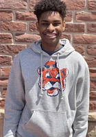 Champion Auburn Tigers Mens Grey Rochester Fleece Distressed Mascot Long Sleeve Hoodie