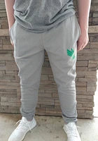 Champion North Texas Mean Green Mens Grey Field Day Fleece Pants