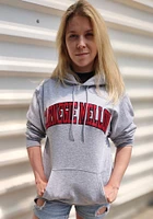 Champion Carnegie Mellon Tartans Mens Grey Powerblend Twill Long Sleeve Hoodie