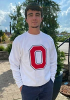 Champion Ohio State Buckeyes Mens White Powerblend Design Long Sleeve Crew Sweatshirt