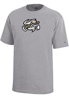 Vortex  Champion Omaha Storm Chasers Youth Grey Primary Logo Short Sleeve T-Shirt