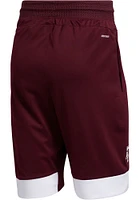 Adidas Texas A&M Aggies Mens Maroon Swingman Shorts