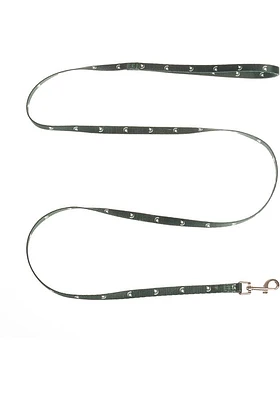 Michigan State Spartans Team Pet Leash