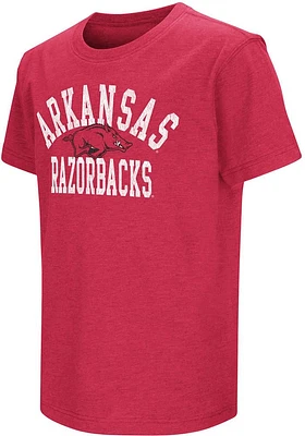 Colosseum Arkansas Razorbacks Youth Cardinal #1 Design Short Sleeve T-Shirt