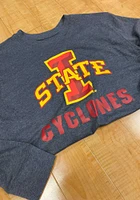 Colosseum Iowa State Cyclones Mens Grey Campus Team Logo Long Sleeve Hoodie