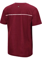 Colosseum Temple Owls Youth Red Teevee Short Sleeve T-Shirt