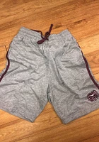 Colosseum Missouri State Bears Mens Grey Dwyer Shorts