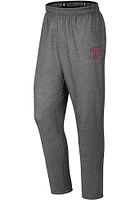Colosseum Temple Owls Youth Grey Varsity Track Pants