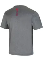 Colosseum Dayton Flyers Grey Larry Short Sleeve T Shirt