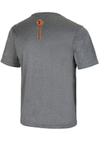 Colosseum Iowa State Cyclones Grey Larry Short Sleeve T Shirt