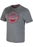 Colosseum Temple Owls Grey Larry Short Sleeve T Shirt