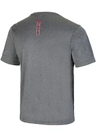 Colosseum Temple Owls Grey Larry Short Sleeve T Shirt