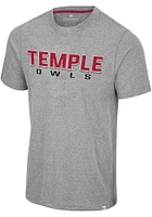 Colosseum Temple Owls Grey Yeah, You Blend Short Sleeve Fashion T Shirt