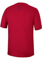Colosseum Arkansas Razorbacks Crimson McFiddish Short Sleeve T Shirt