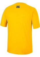 Colosseum Michigan Wolverines Yellow McFiddish Short Sleeve T Shirt