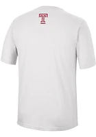 Colosseum Temple Owls White McFiddish Short Sleeve T Shirt