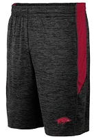 Colosseum Arkansas Razorbacks Mens Black Curry Shorts