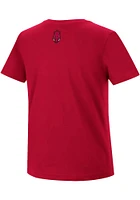 Colosseum Arkansas Razorbacks Crimson Hamilton Short Sleeve T Shirt