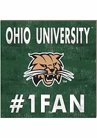 Jardine Associates Ohio Bobcats 10x10 #1 Fan Sign