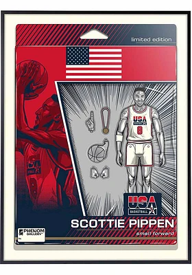 Chicago Bulls 18x24 Scottie Pippen Dream Team Deluxe Framed Posters
