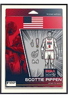 Chicago Bulls 18x24 Scottie Pippen Dream Team Deluxe Framed Posters