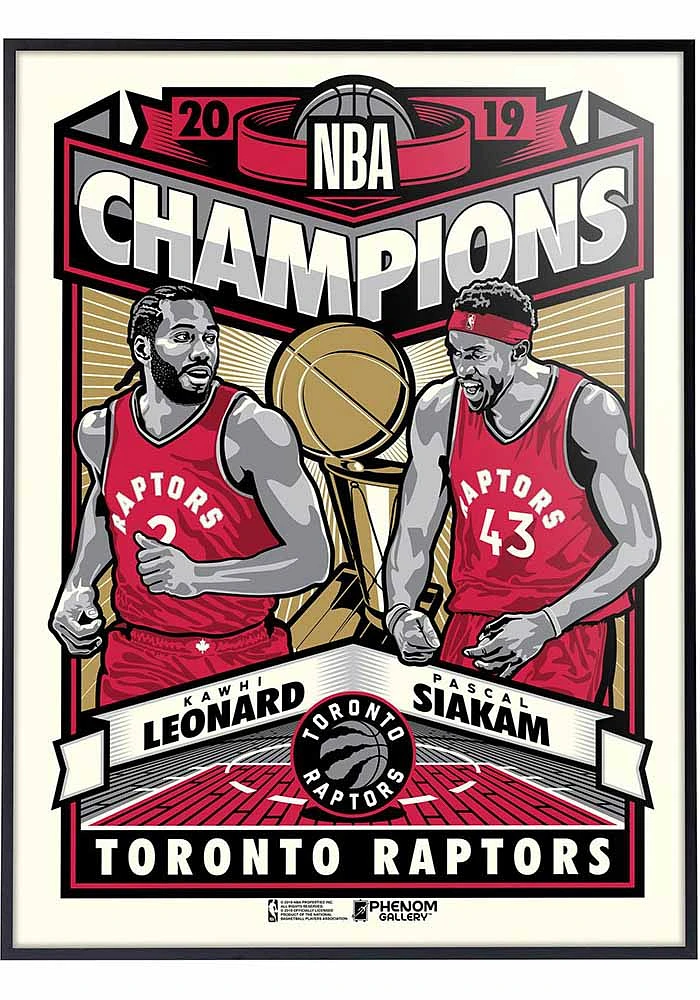 Toronto Raptors 18x24 2019 NBA Champions Deluxe Framed Posters